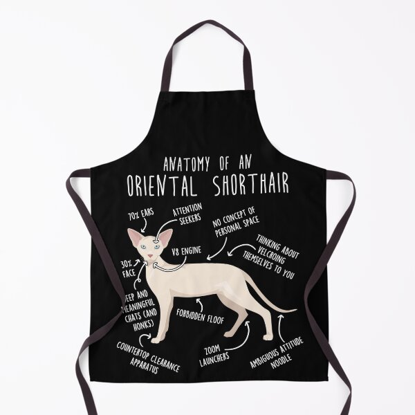 Item preview, Cream Oriental Shorthair Cat Anatomy designed and sold by Clara Hollins.