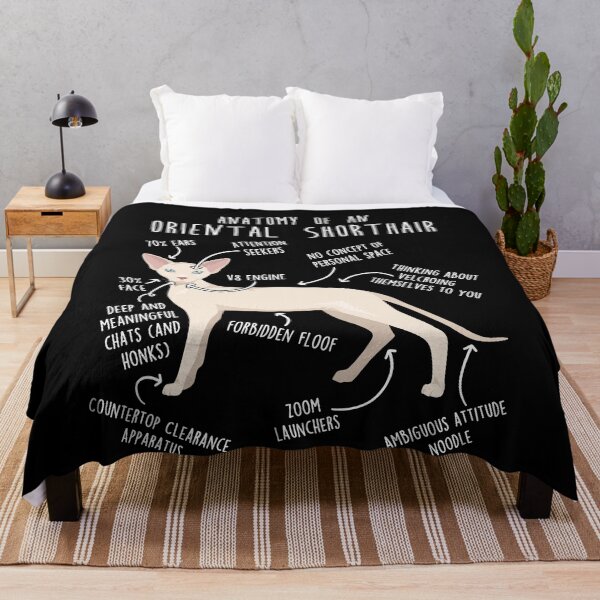 Item preview, Cream Oriental Shorthair Cat Anatomy designed and sold by Clara Hollins.