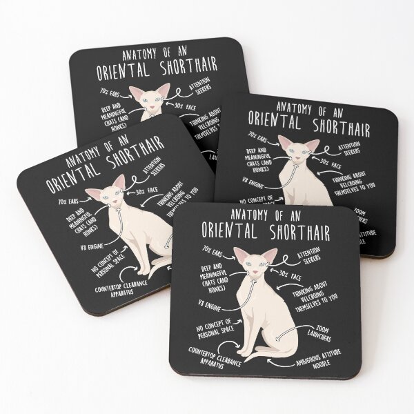 Item preview, Cream Oriental Shorthair Cat Anatomy designed and sold by Clara Hollins.