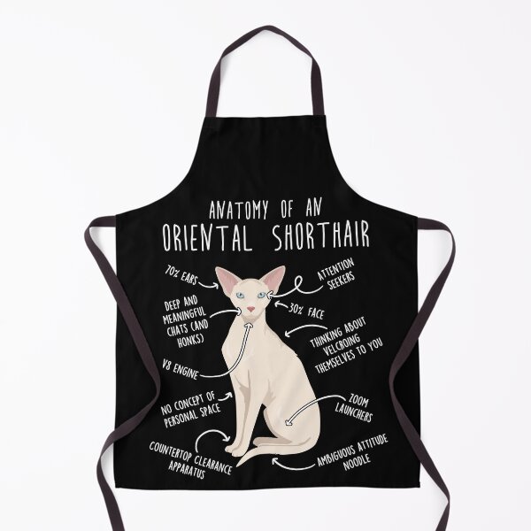 Item preview, Cream Oriental Shorthair Cat Anatomy designed and sold by Clara Hollins.
