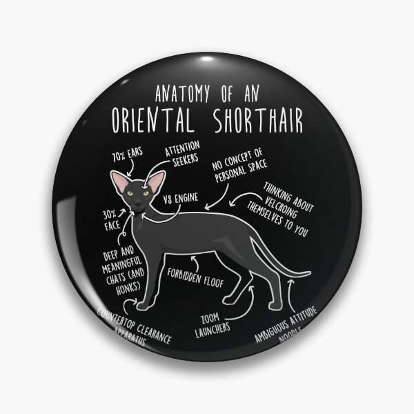 Item preview, Ebony Oriental Shorthair Cat Anatomy designed and sold by Clara Hollins.