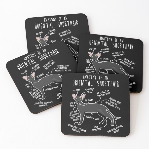 Item preview, Ebony Oriental Shorthair Cat Anatomy designed and sold by Clara Hollins.