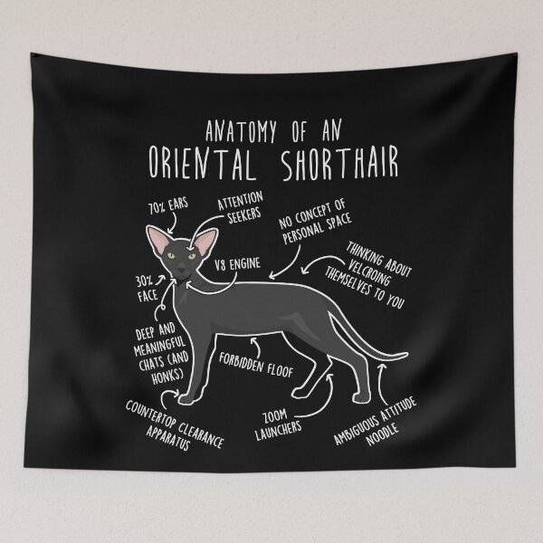 Item preview, Ebony Oriental Shorthair Cat Anatomy designed and sold by Clara Hollins.