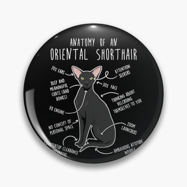 Item preview, Ebony Oriental Shorthair Cat Anatomy designed and sold by Clara Hollins.