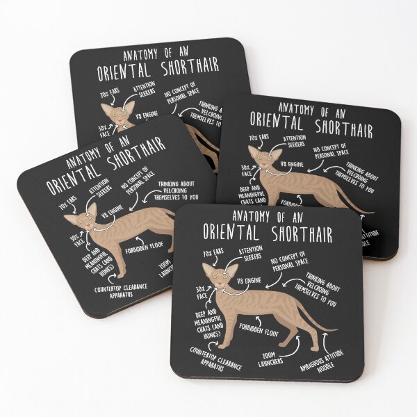 Item preview, Fawn Tabby Oriental Shorthair Cat Anatomy designed and sold by Clara Hollins.