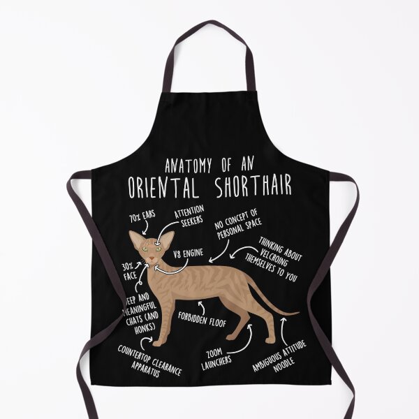 Item preview, Fawn Tabby Oriental Shorthair Cat Anatomy designed and sold by Clara Hollins.