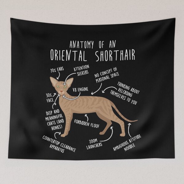 Item preview, Fawn Tabby Oriental Shorthair Cat Anatomy designed and sold by Clara Hollins.