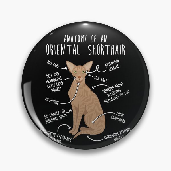 Item preview, Fawn Tabby Oriental Shorthair Cat Anatomy designed and sold by Clara Hollins.