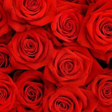 Artwork thumbnail, Red Spectacular Roses by LGdesigns