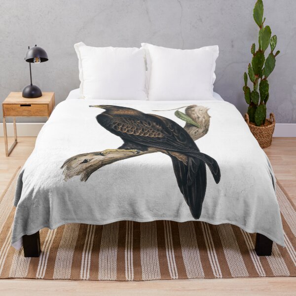 Item preview, Wedge-tailed Eagle - Vintage Illustration - John Gould designed and sold by karwilberevivalcollection.