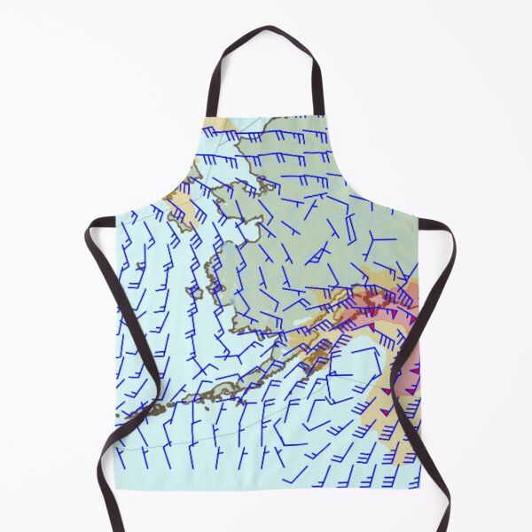 Item preview, winds aloft NOAA aviation weather center 1800wxbrief windbarb designed and sold by PilotandPlane.