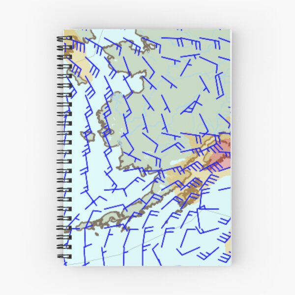Item preview, winds aloft NOAA aviation weather center 1800wxbrief windbarb designed and sold by PilotandPlane.