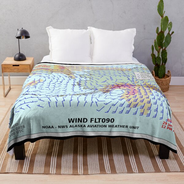 Item preview, winds aloft NOAA aviation weather center 1800wxbrief windbarb designed and sold by PilotandPlane.