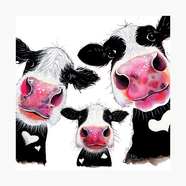 CoW PRiNT, ANiMaL PRiNT ' THe NoSeY FaMiLY ' BY SHiRLeY MacARTHuR Photographic Print