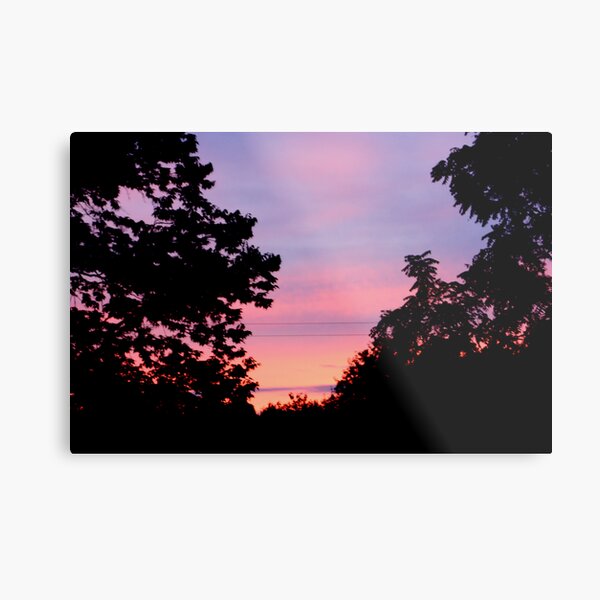 Into the Night Metal Print