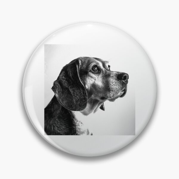 Artikelvorschau, Beagle-Hundeporträt, Schwarz-Weiß-Tierfotografie entworfen und verkauft von inkoutninja.