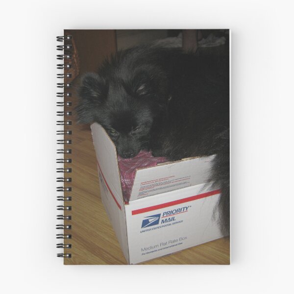 Item preview, Special Delivery designed and sold by Dana Yoachum.