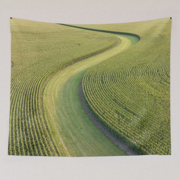 Item preview, Through the Cornfield designed and sold by ConnorQuagliana.
