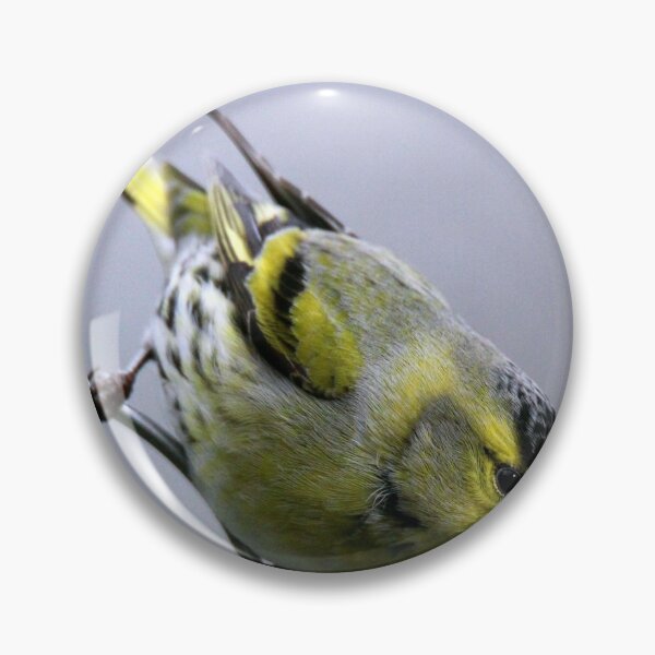 Item preview, siskin designed and sold by KathleenDawson.