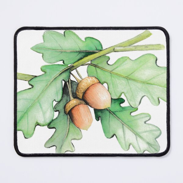 Item preview, Acorns designed and sold by K-W-Paintings.