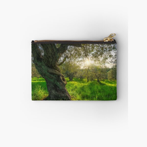 Item preview, Old tree in olive grove in Alta Maremma. Landscape in Tuscany, Italy designed and sold by Stefano Orazzini.