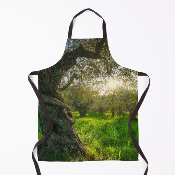 Item preview, Old tree in olive grove in Alta Maremma. Landscape in Tuscany, Italy designed and sold by Stefano Orazzini.