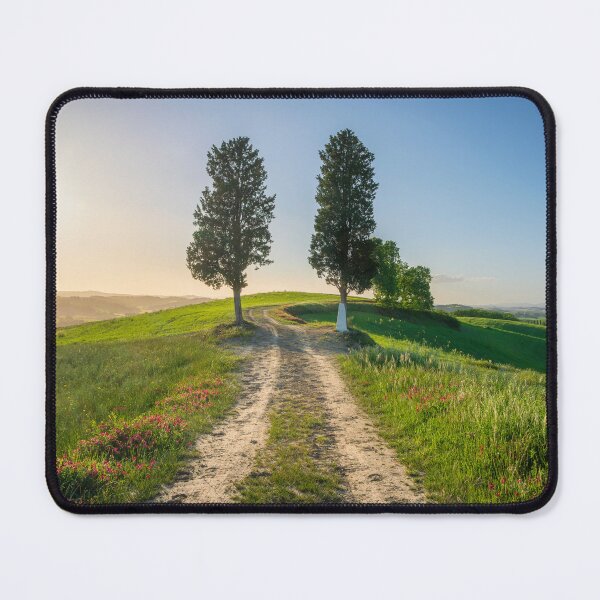 Item preview, Two trees on Via Francigena pilgrimage route. Tuscany, Italy designed and sold by Stefano Orazzini.