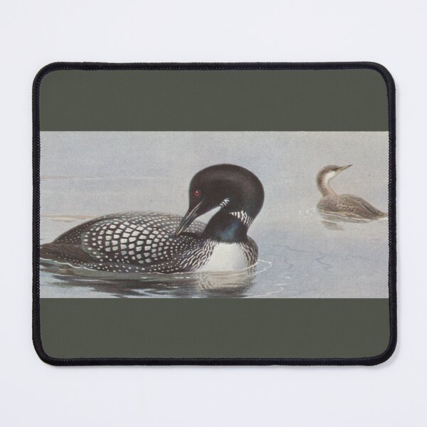 Item preview, Loon (Gavia immer) by Archibald Thorburn designed and sold by Amanda1775.