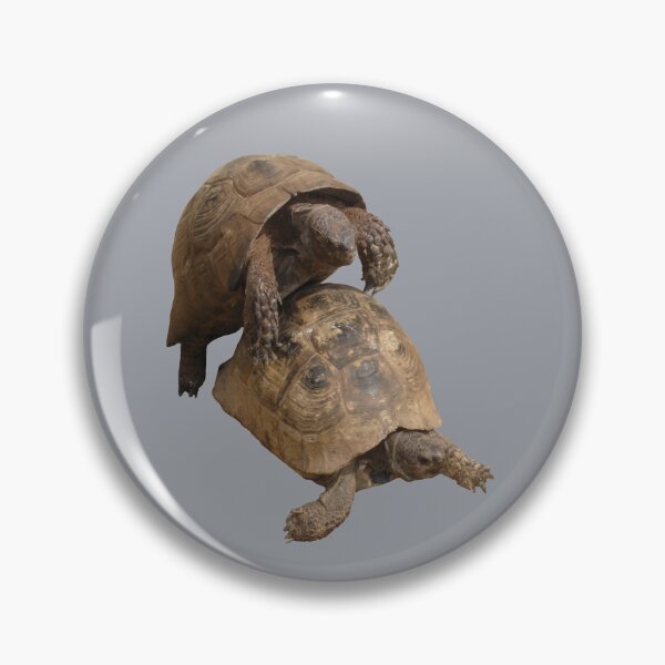 Item preview, Slow Love Tortoise Mating Wildlife Cut Out designed and sold by taiche.