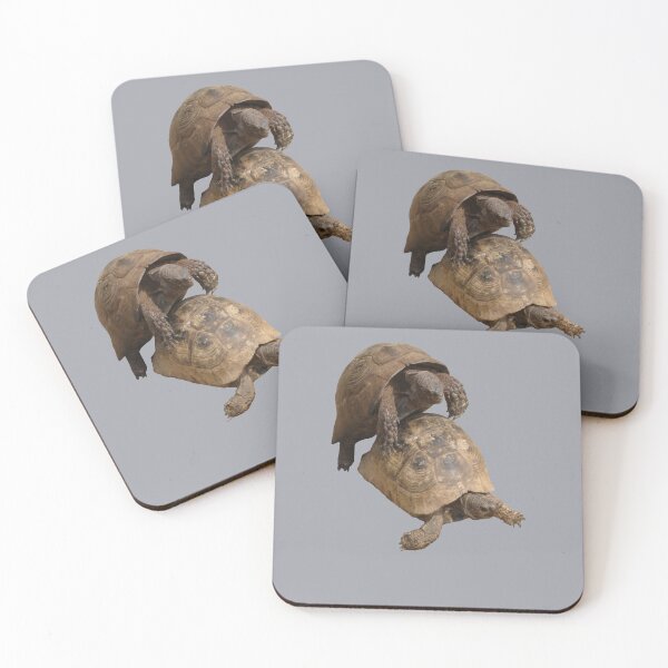 Item preview, Slow Love Tortoise Mating Wildlife Cut Out designed and sold by taiche.