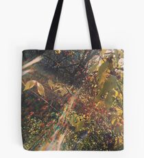 Shattered Lens Tote Bag