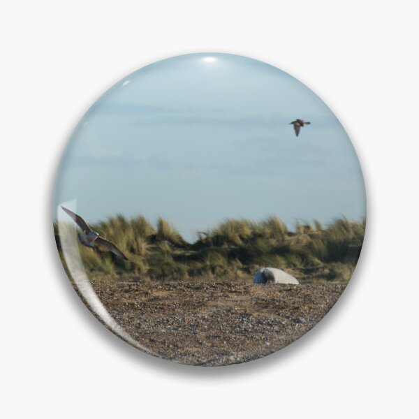 Item preview, Seals and Gulls designed and sold by clgcreativearts.
