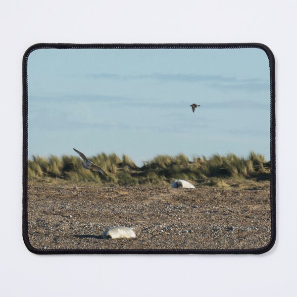 Item preview, Seals and Gulls designed and sold by clgcreativearts.