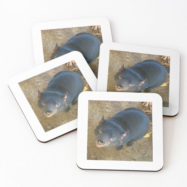 Item preview, Captive Tassie Devil designed and sold by trevorp.