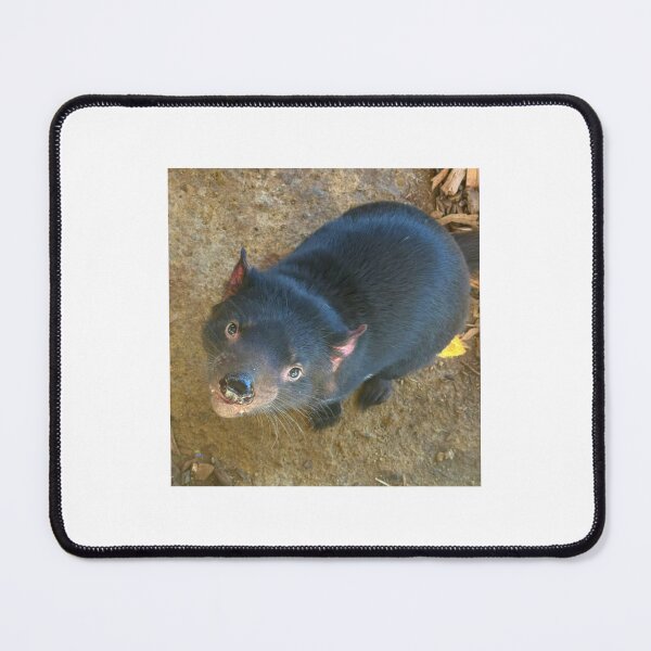 Item preview, Captive Tassie Devil designed and sold by trevorp.