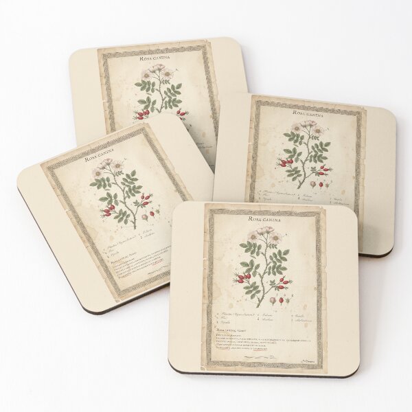 Item preview, Vintage Rosa Canina Botanical Print designed and sold by Jeeklsdotcom.