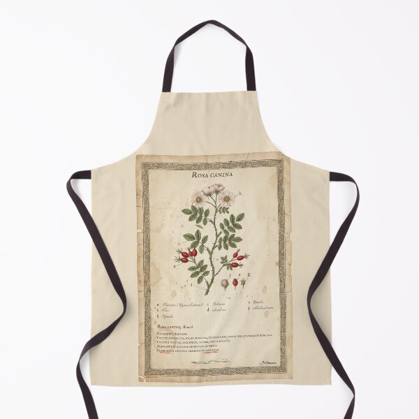 Item preview, Vintage Rosa Canina Botanical Print designed and sold by Jeeklsdotcom.