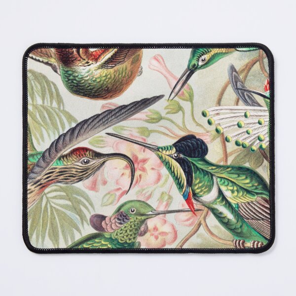 Item preview, Ernst Haeckel Hummingbirds Artwork Painting designed and sold by thecooltable.