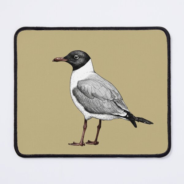 Item preview, Laughing gull Seagull Maryland pen and ink designed and sold by S-M-P-A.