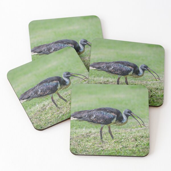 Item preview, Worm Catch designed and sold by Jan Fijolek.