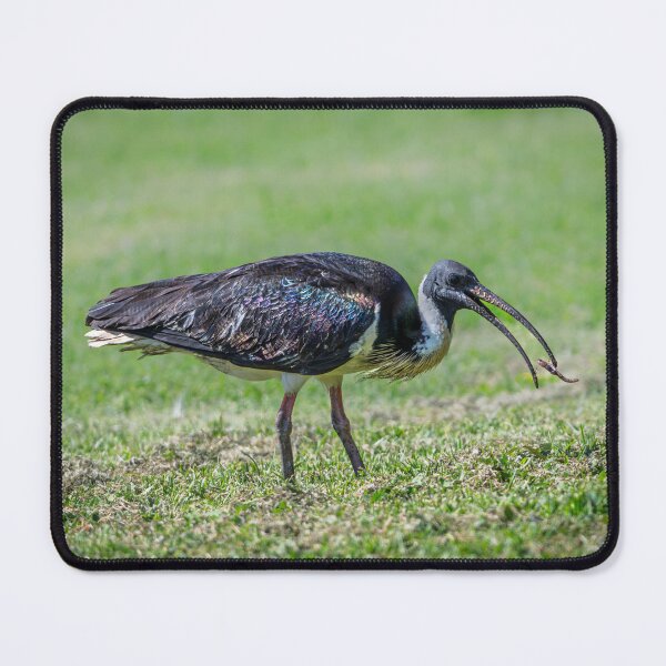Item preview, Worm Catch designed and sold by Jan Fijolek.