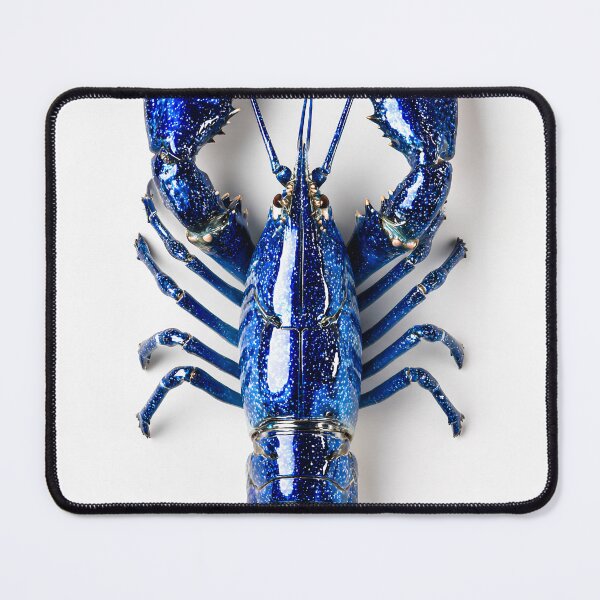 Item preview, Hyperrealistic Blue Lobster from Above – Minimalist Food Photography designed and sold by Rogervdb.