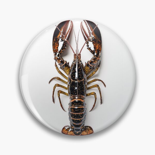 Item preview, Lobster from Above – Minimalist Food Photography designed and sold by Rogervdb.
