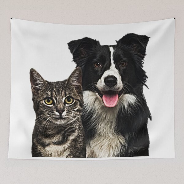 Item preview, Dog and Cat for friends designed and sold by NoxLand.