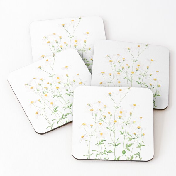 Item preview, hand painted white black-jack flowers watercolor painting  designed and sold by ColorandColor.