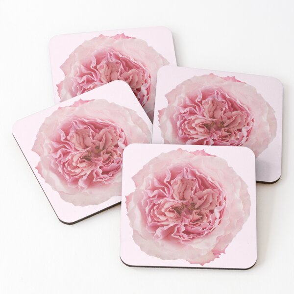 Item preview, pink Rose flower sticker designed and sold by inainart.