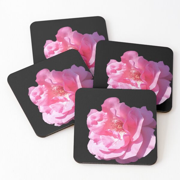 Item preview, Pink rose illuminated by the midday sun designed and sold by Enerjetal.