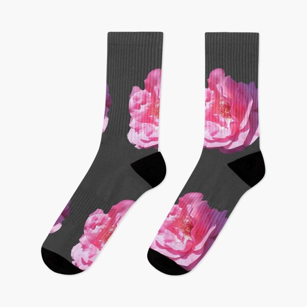 Item preview, Pink rose illuminated by the midday sun designed and sold by Enerjetal.