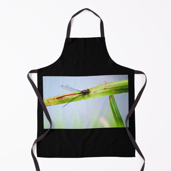 Item preview, Male Large red damselfly (Pyrrhosoma nymphula) designed and sold by Stephen Jarman.