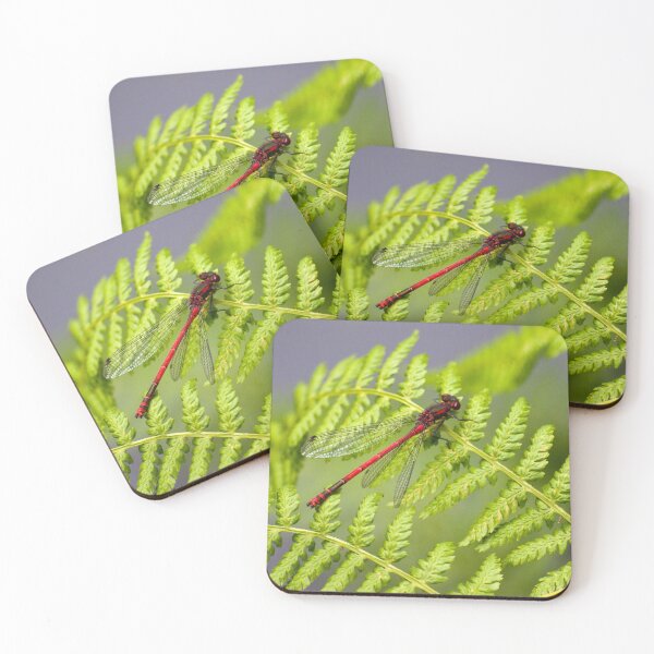 Item preview, Large red damselfly (Pyrrhosoma nymphula) designed and sold by Stephen Jarman.